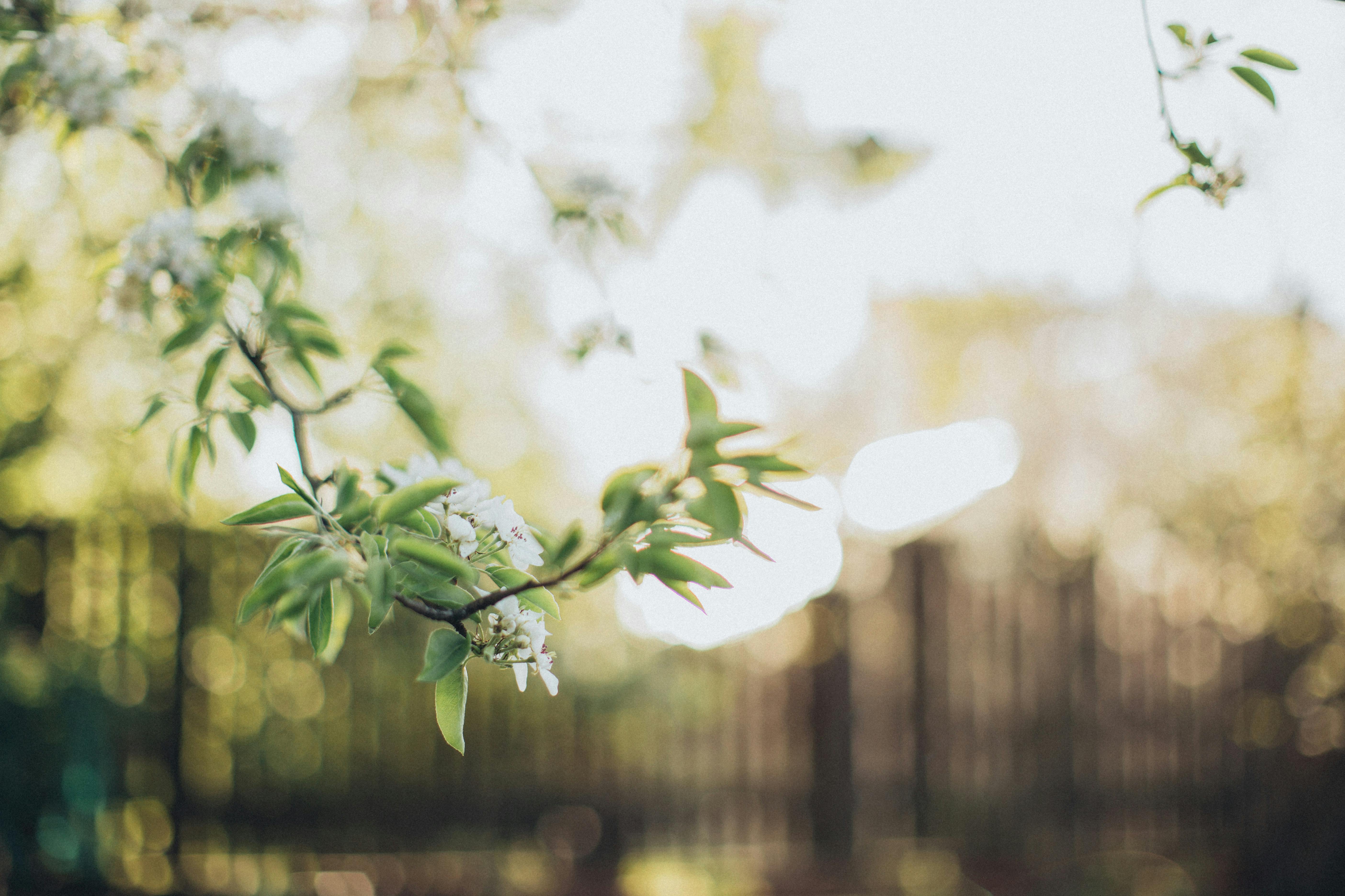 Local expert offers tips to ‘spring clean’ your beauty, skincare routine — Photo by Elina Sazonova on Pexels