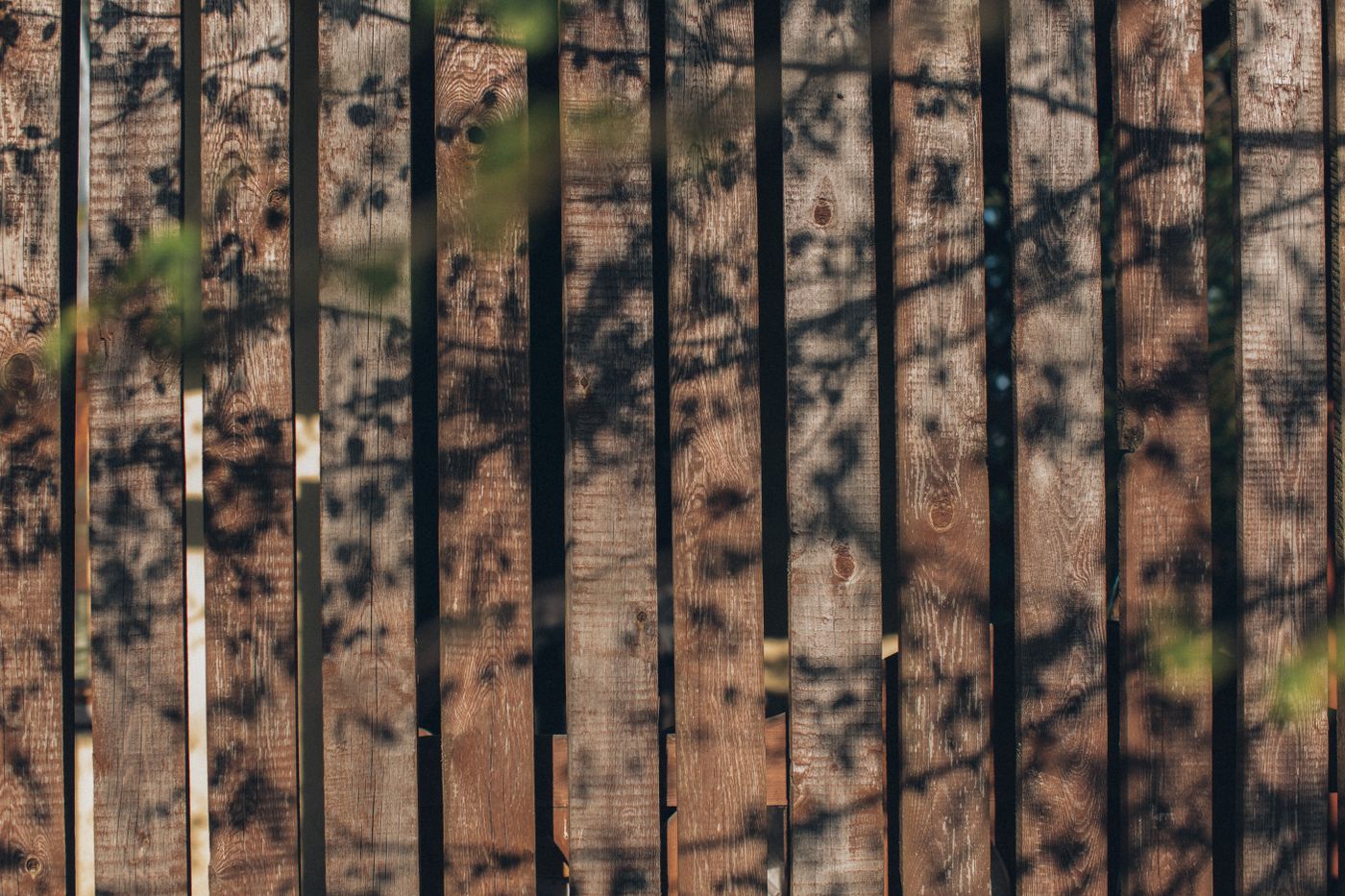 Modern horizontal board fence in a landscaped yard