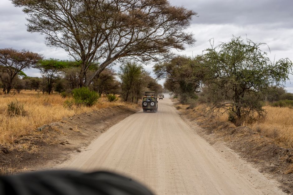 Isolement géographique en safari africain A jeep drives through the dusty roads of an African savanna surrounded by trees and open landscape.