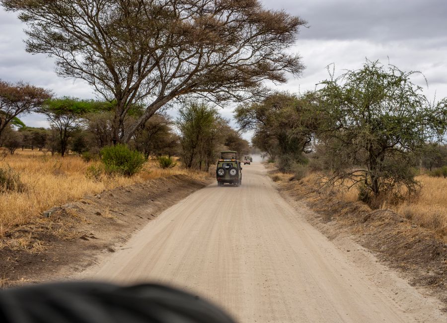 A jeep drives through the dusty roads of an African savanna surrounded by trees and open landscape.