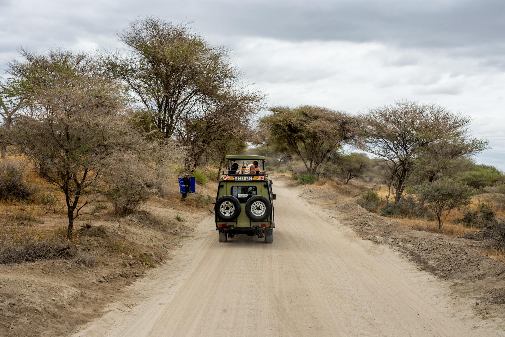 Explore the wilds of Tanzania on a thrilling safari adventure with a jeep on a dusty road.