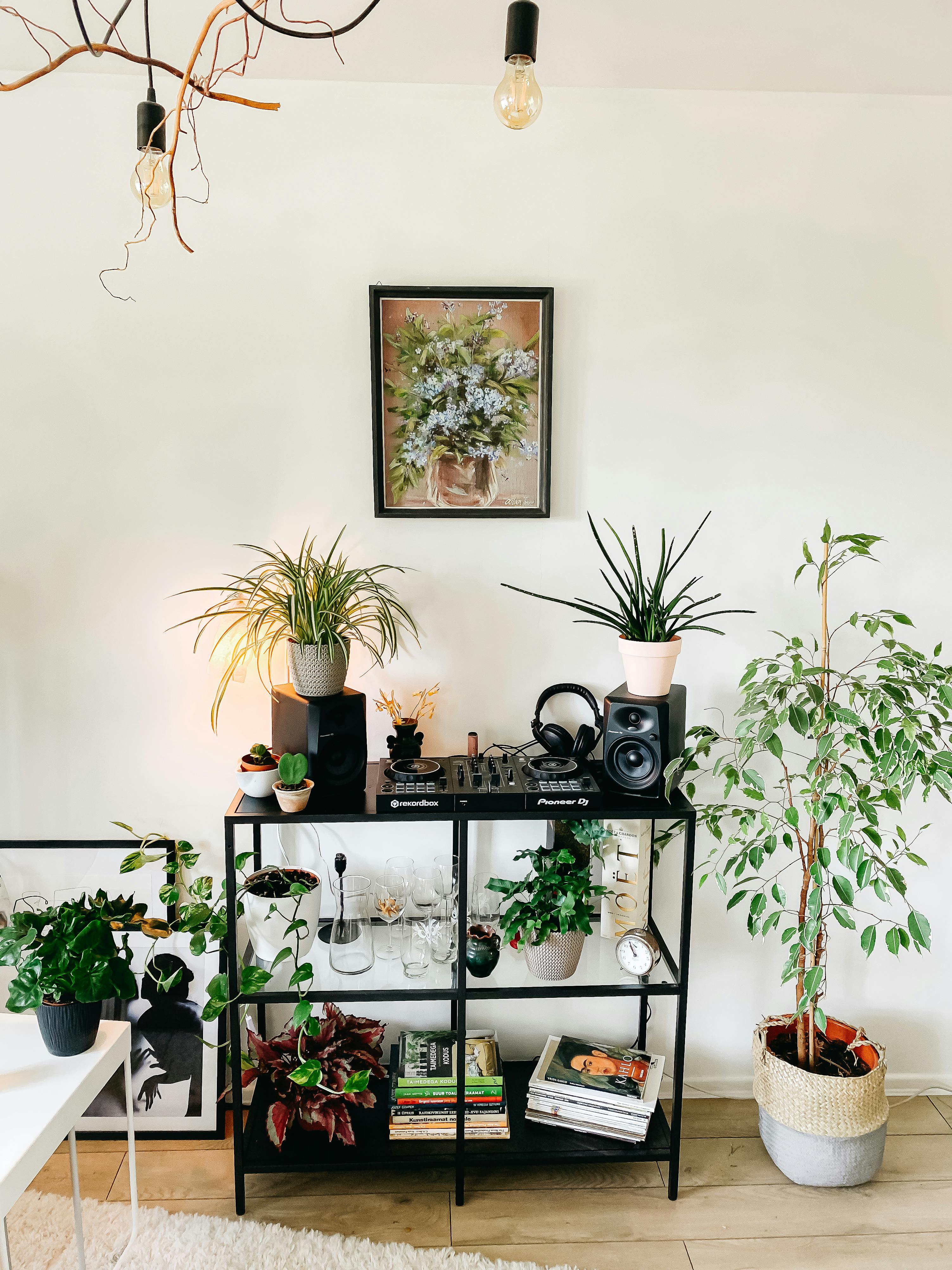 Free A modern home setup featuring indoor plants and DJ equipment on a stylish shelf. Stock Photo