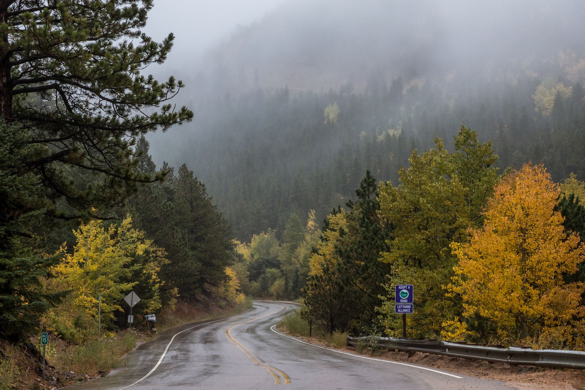 Winding road through a misty, forested mountain landscape in Colorado.