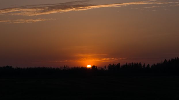 Silhouettes of tree tops under bright sun in cloudy sky at sunset in twilight
