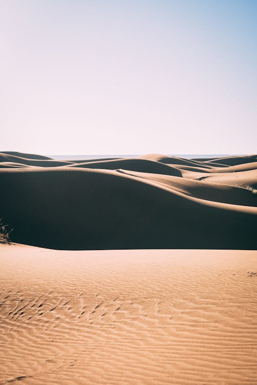 Foto stok gratis bentuk dan pola, bukit pasir, coklat keemasan