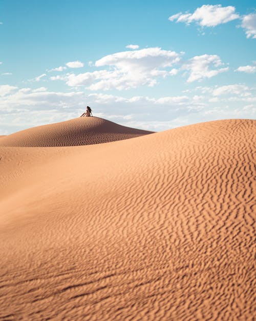 Foto d'estoc gratuïta de aïllament, colors neutres, desert