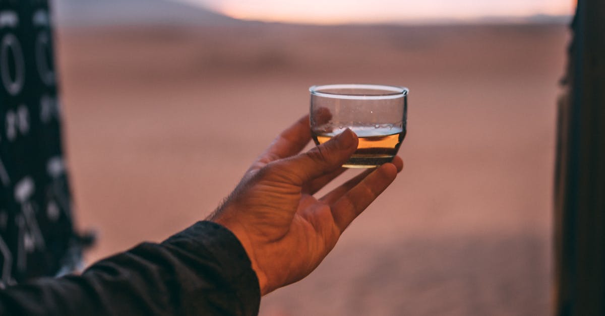 How to drink Hennessy brandy
