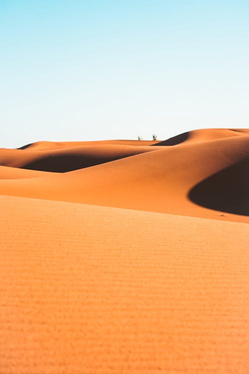 Immagine gratuita di deserto, duna di sabbia, dune di sabbia