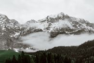 附近绿色森林的树木下，风景如画的山脊覆盖着雪，灰色的天空在上方