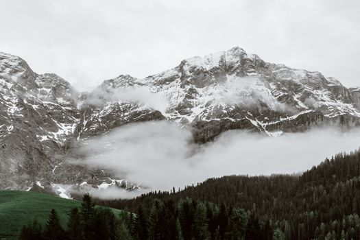 附近绿色森林的树木下，风景如画的山脊覆盖着雪，灰色的天空在上方