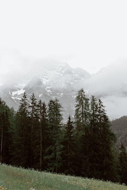 Free Amazing scenery of green forest trees located near mountain ridge covered with snow located under gray sky Stock Photo