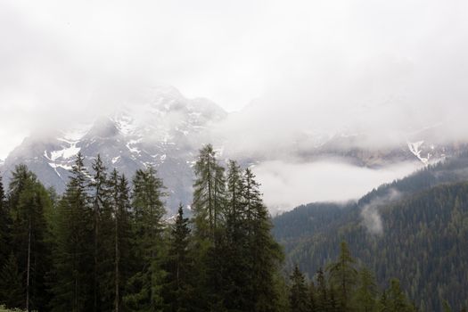 山脊上，天空阴沉多云，积雪覆盖，绿树成荫，景色令人惊叹