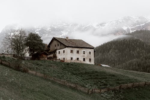 Immagine gratuita di albero, altitudine, ambiente