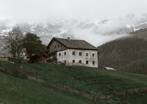 Základová fotografie zdarma na téma botanický, budova, čerstvý