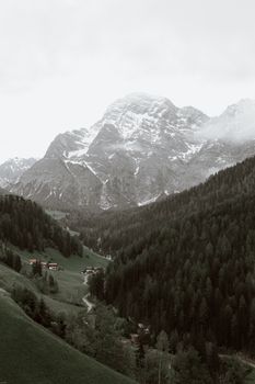 荒野山谷中，郁郁葱葱的绿色森林风景如画，四周环绕着高耸的岩石雪山，天空雾蒙蒙的