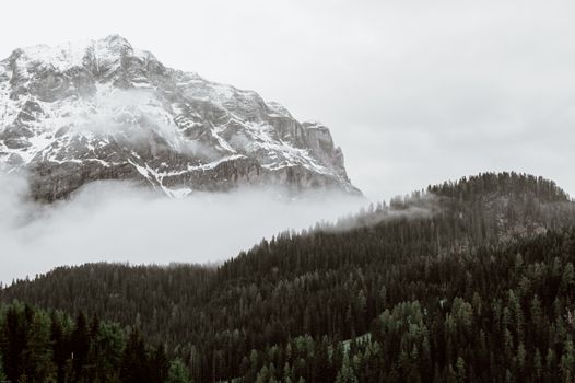 天空多云，雄伟的雪山矗立在郁郁葱葱的针叶林旁，景色令人惊叹