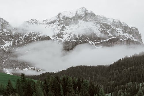 Cloudy sky over snowy mountains and lush forest