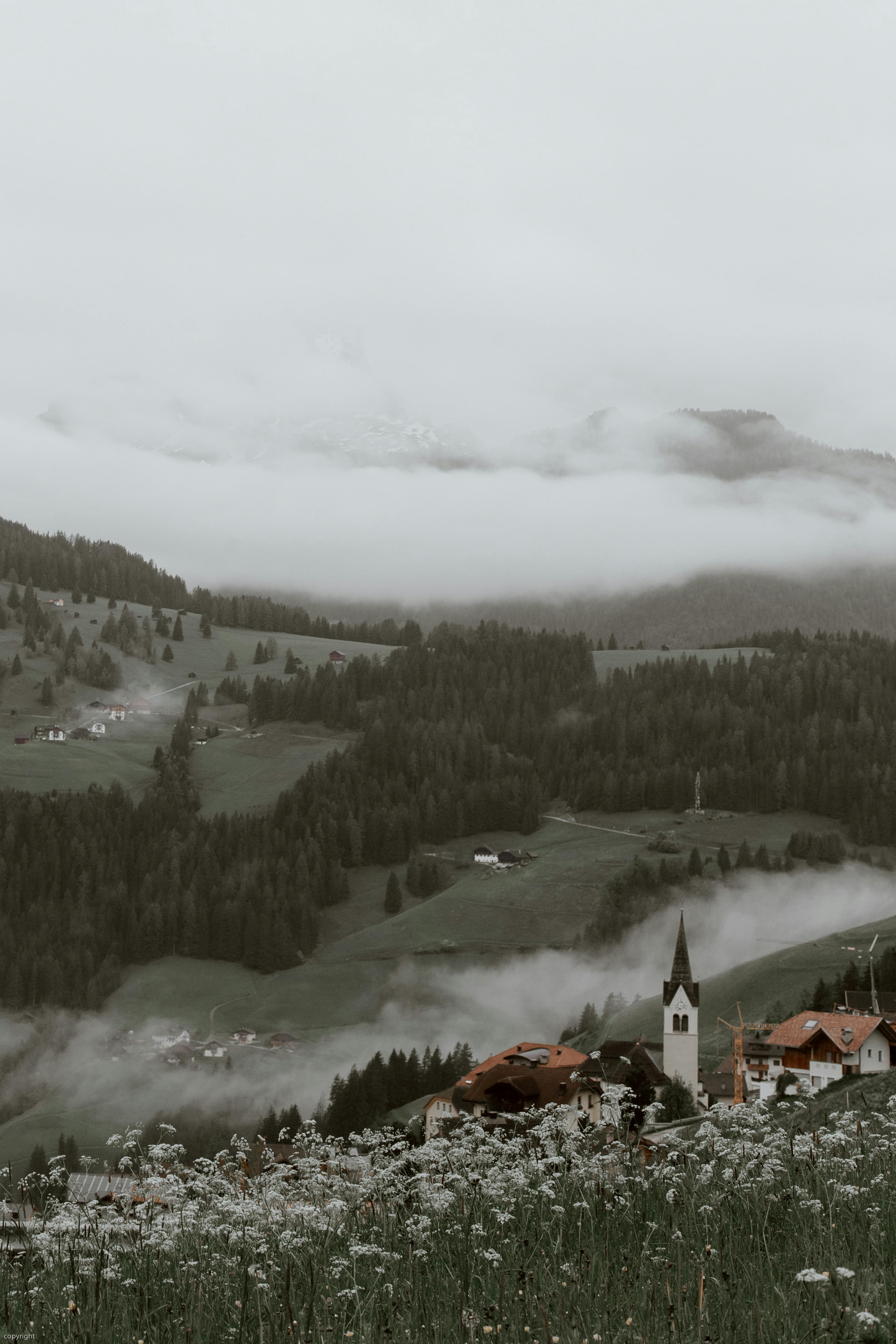 Picturesque valley with traditional village and coniferous forests against cloudy sky