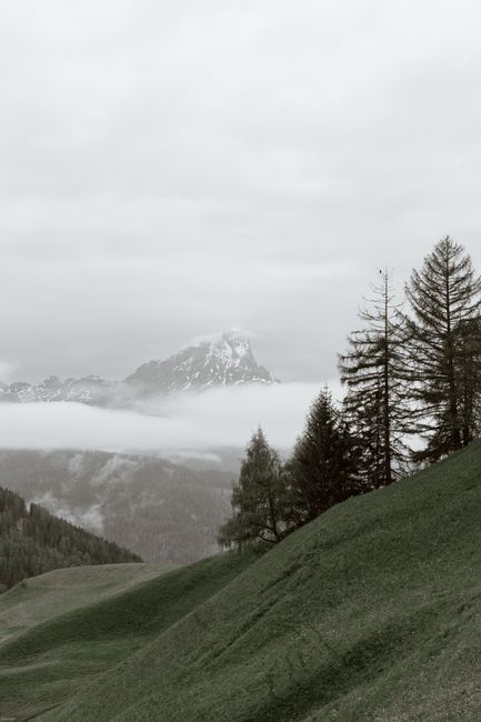 Green hill slop with evergreen trees located against gray cloudy sky near snowy mountains