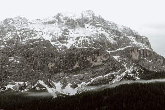 在郁郁葱葱的冷杉林附近，陡峭的山峰顶着积雪，映衬在多云的天空下
