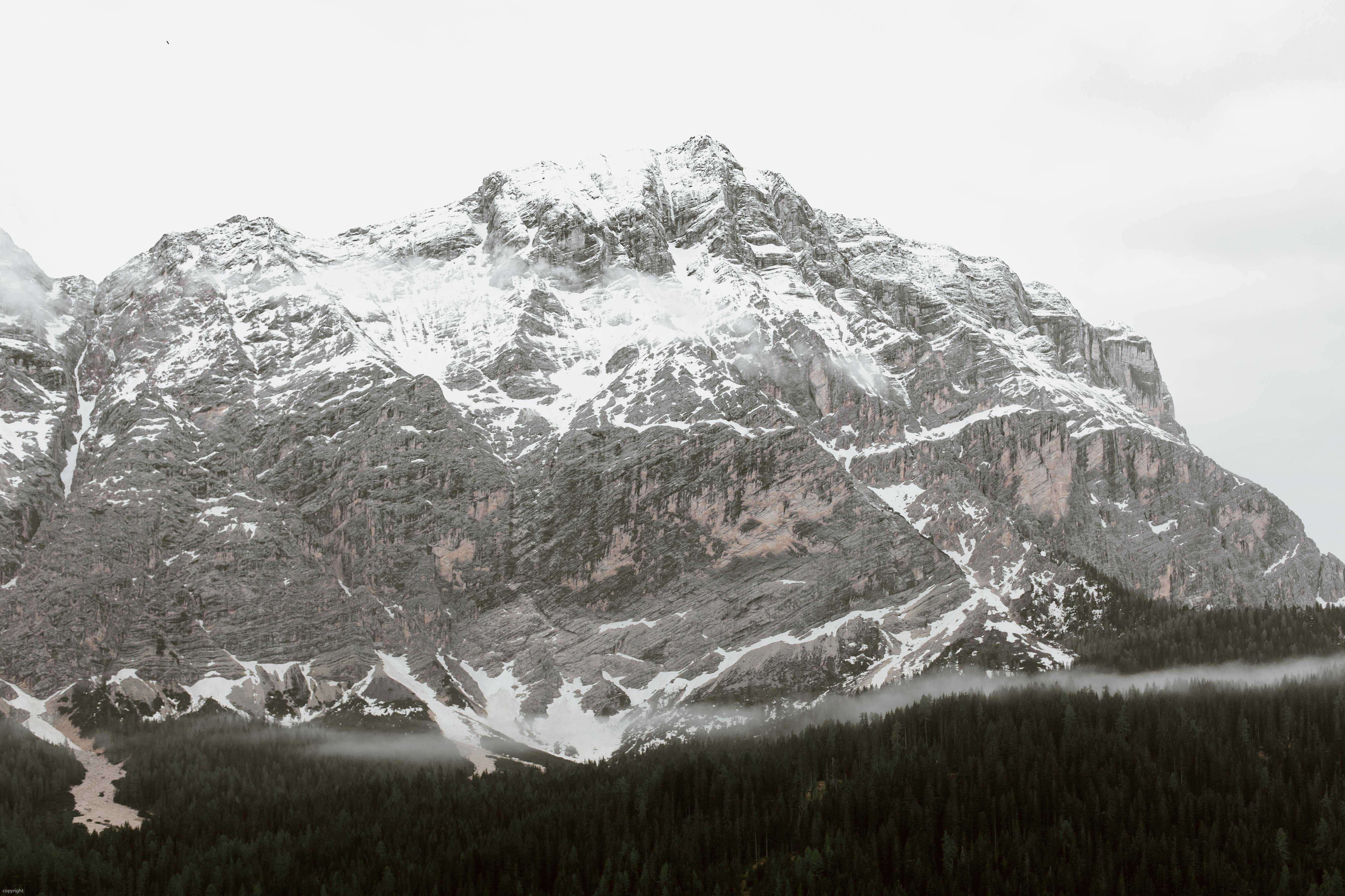 mountainous valley with spruce forest on overcast day