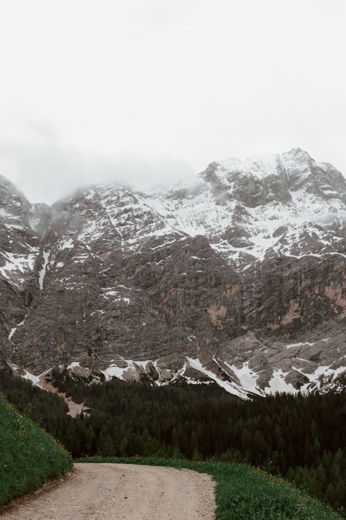 Snowy mountain in valley with green forest and empty road