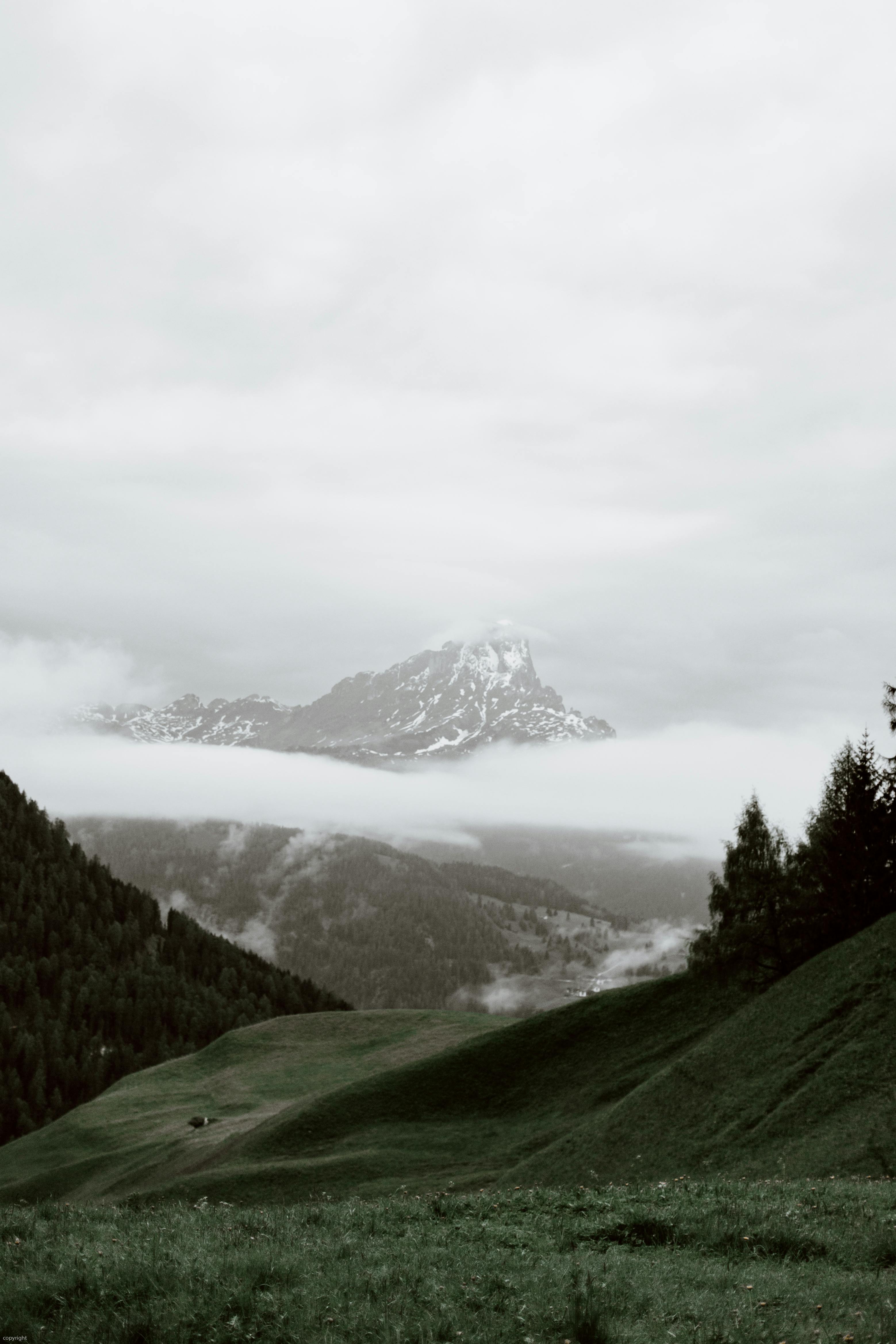 云雾飘过碧绿的山谷，白雪皑皑的山峰与针叶林交相辉映，景色令人惊叹