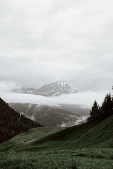 云雾飘过碧绿的山谷，白雪皑皑的山峰与针叶林交相辉映，景色令人惊叹