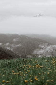 山谷宁静，景色令人惊叹，地势低洼，野花丛生