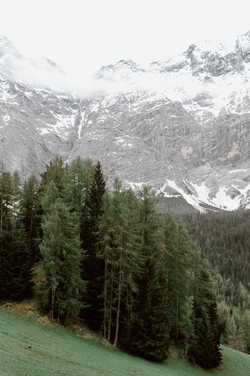 Gratis lagerfoto af alpin, bakke, betagende