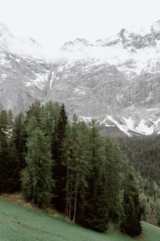 山坡上生长着常绿树木，周围是白雪皑皑的岩石山脉，天空多云