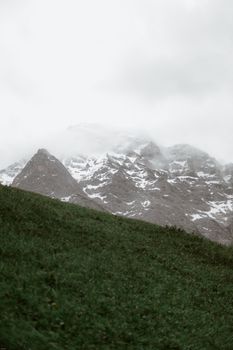 云雾缭绕的山脉呈现出一片宁静景象，前景是郁郁葱葱的绿色草地