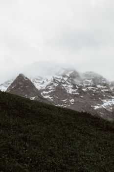 在灰蒙蒙的天空和薄雾笼罩下，深绿色的山坡和高岩被雪覆盖着
