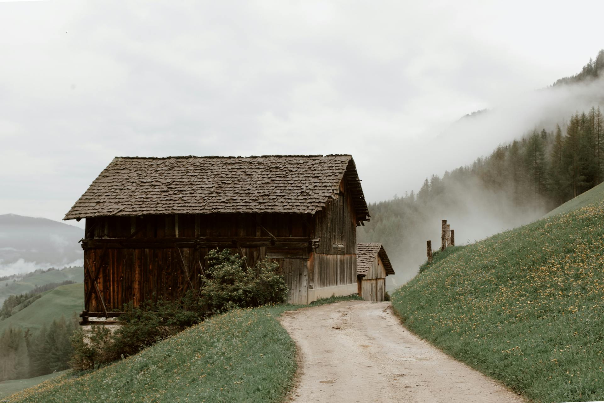 Old rural brown houses with triangle roof on mountain slope covered with grass and yellow flowers next to road and forest on mountain in fog
