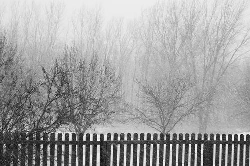 Free stock photo of black and white background, cold, desktop background Stock Photo