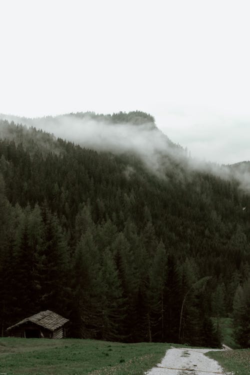 Small wooden rustic solitude house by road to mountain slope covered with woodland under mist