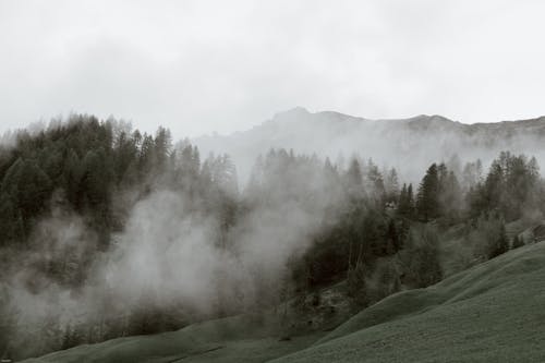 Grey sky and haze above steep rocks and mountain slope covered with dark green spruces and grass