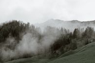灰色的天空下，陡峭的岩石和山坡覆盖着深绿色的云杉与草，笼罩在一片阴霾之中