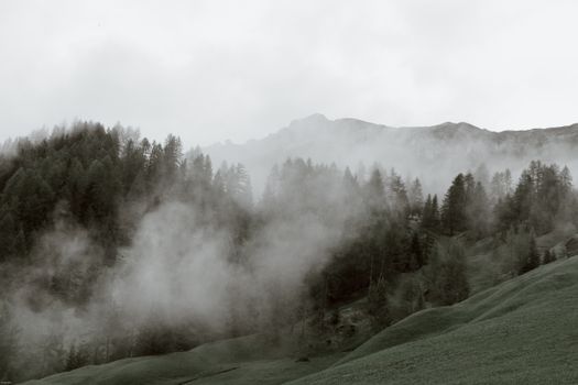 灰色的天空下，陡峭的岩石和山坡覆盖着深绿色的云杉与草，笼罩在一片阴霾之中