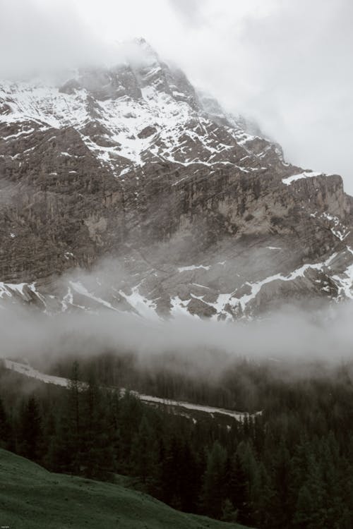 Mist above forest near mountain