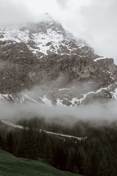 薄雾笼罩着宁静的雪山山顶，呈现出一派田园诗般的景色