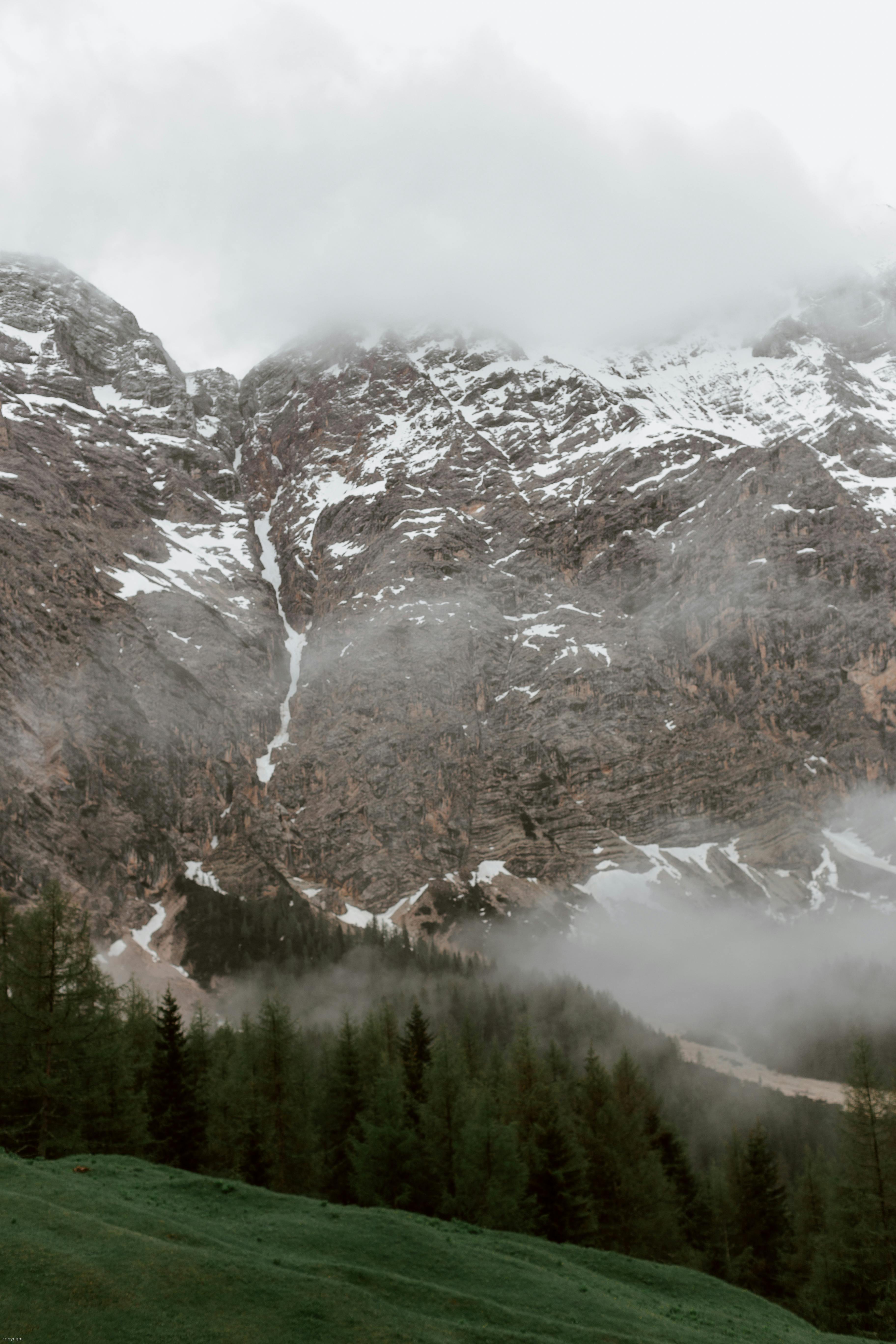 早春时节，高山雾气朦胧，积雪与常绿森林构成一片宁静的景色