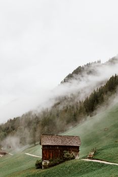 云雾缭绕的针叶林旁，有一片绿草如茵的山坡和一座孤零零的木屋，风景如画