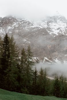 雪山与常绿森林在多云的天空下构成壮丽景色