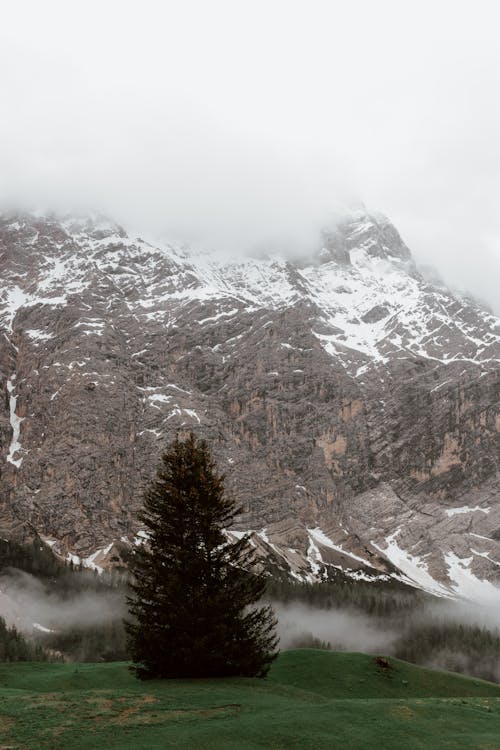 Picturesque view of mountain peaks covered with snow and thick mist located near forest with evergreen trees on overcast day