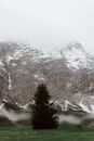 山峰云雾缭绕，绿树成荫，风景宁静，氛围朦胧