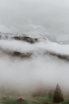 薄雾笼罩着宁静的山区，一座木屋坐落在郁郁葱葱的绿色原野中