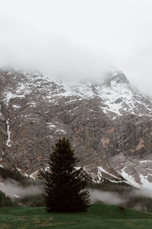 Free Picturesque scenery of coniferous forest growing at foot of mountain with snowy slopes surrounded by thick mist on cloudy day Stock Photo