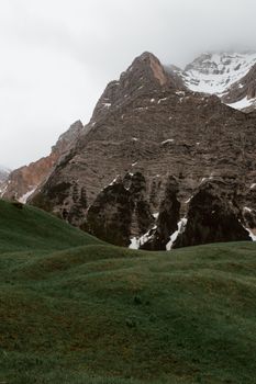 阴云笼罩着积雪的山峰，山谷一片翠绿