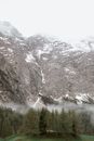在阴沉的天气下，茂密的针叶林与雪山形成了高角度
